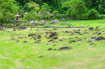 Fang Hot Springs,These are part of Doi Pha Hom Pok National Park