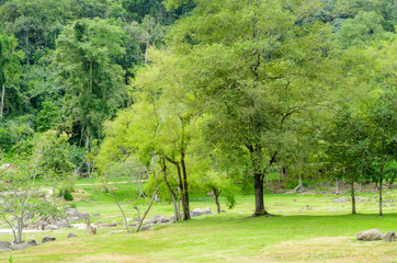 Fang Hot Springs,These are part of Doi Pha Hom Pok National Park