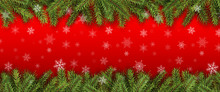Christmas Background Green Pine Tree Branches With Snowflakes.