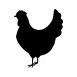 silhouette monochrome color with chicken vector illustration