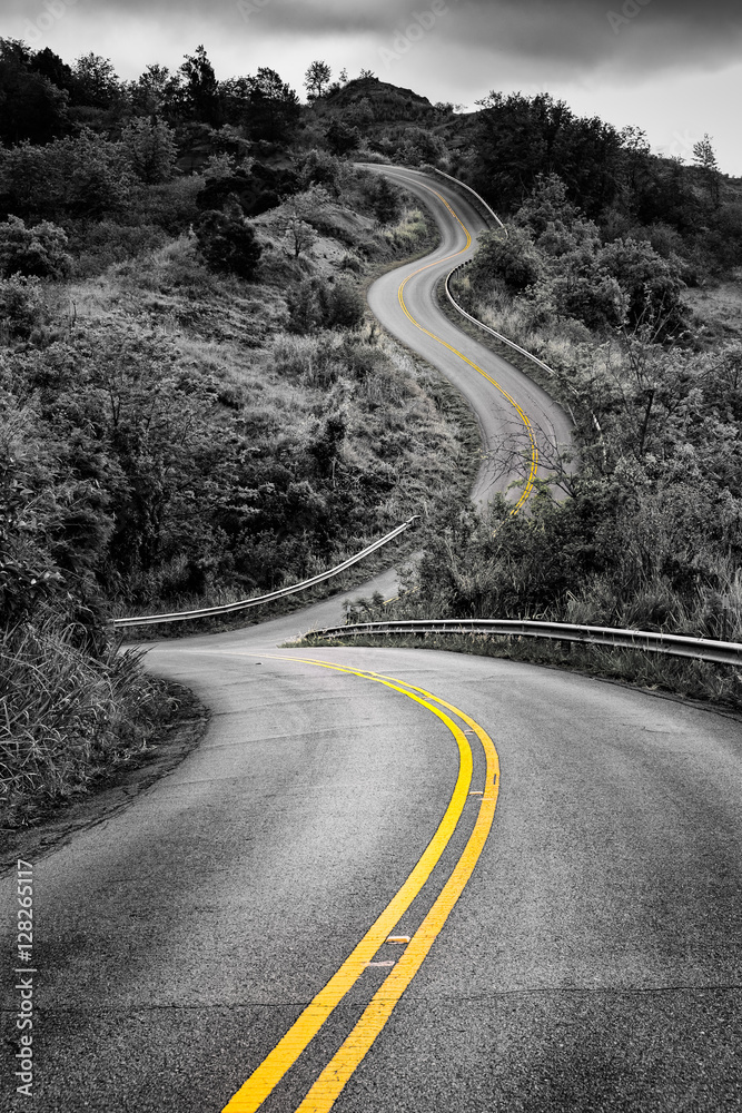 Scenic monochrome view of narrow curvy road and rural landscape - obrazy, fototapety, plakaty 