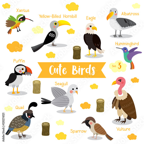 Valokuva Cute Birds Animal cartoon on white background with animal name