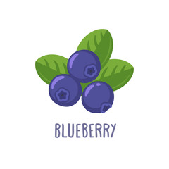 vector blueberry icon