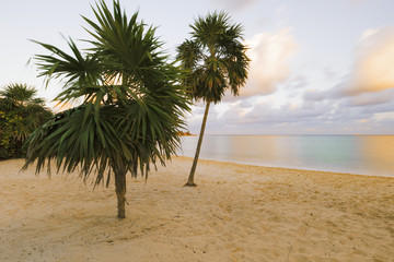 Wall Mural - Sunset on a beautiful Caribbean beach.