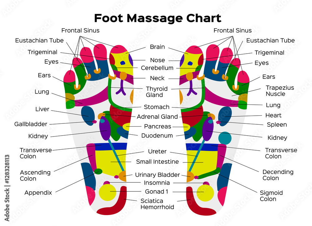 Reflexology Wall Chart Posters