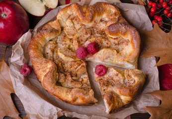 Wall Mural - Home-made apple cake with cinnamon and raspberry. Closeup.