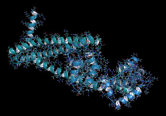 Poster - Troponin: structure of the human cardiac troponin core domain, 3D rendering. Composed of three subunits (C, T and I).