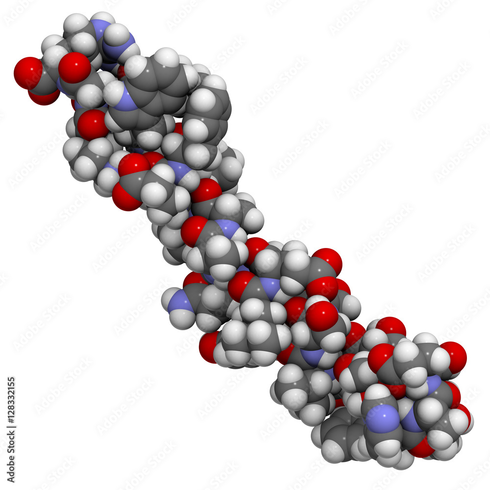 glp 1 online programs GLP-1 Medications for Weight Loss
