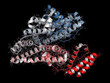 Human serum albumin protein, 3D rendering. Cartoon & wireframe rendering.