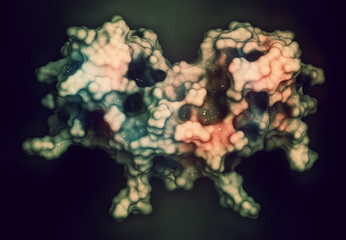 Wall Mural - Interferon gamma (IFNg) cytokine molecule, 3D rendering. 