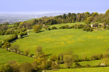 Wall Mural - cotswold view UK