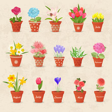 Vintage Collection Of Cute Flowerpots With Flowers For Your Desi