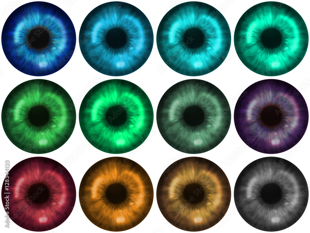 Realistic Eye Iris Collection Stock Illustration | Adobe Stock realistic-eye-iris-collection-stock-illustration-adobe-stock