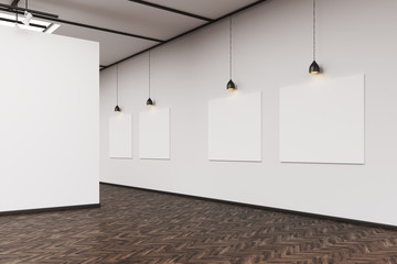 Side view of an art gallery with a blank wall and row of picture