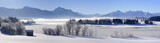 Fototapeta Londyn - Panorama Winterlandschaft in Bayern mit Alpen