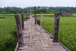 Old wooden bridge over the rice field