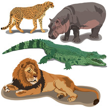 Set Of African Predators