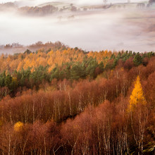 Autumn Fog In The Peak District National Park