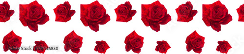 panorama repeating patterns of red rose for Valentine's Day