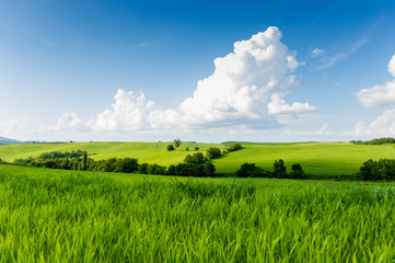 green hill