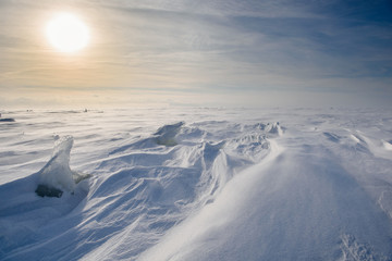 Wall Mural - boundless icy landscape during a snowstorm at sunset in winter.