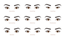 Various Types Of Woman Eyes. Set Of Vector Eye Shapes. Collection Of Illustrations With Captions. Makeup Type Infographic. Different - Close, Protruding, Hooded, Almond, Upturned On White Background.