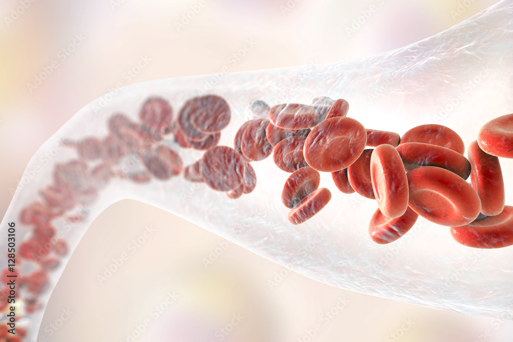 Blood vessel with flowing blood cells, 3D illustration - obrazy, fototapety, plakaty 