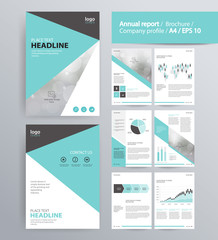 page layout for company profile, annual report, brochure, and flyer layout template. with info graphic element. and vector A4 size for editable