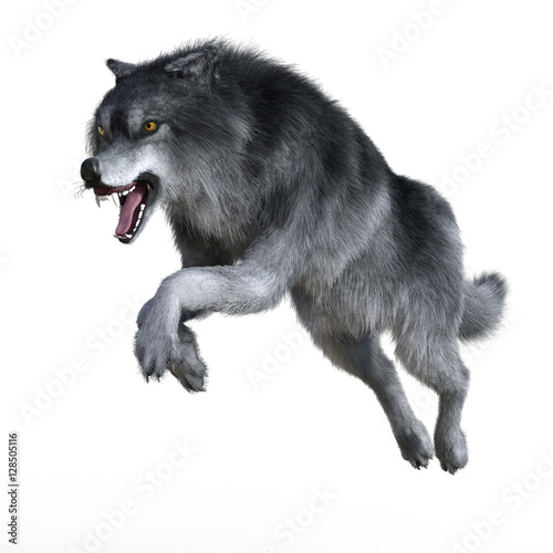 3d render of an angry jumping wolf during his hunt, isolated on white