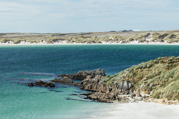 Poster - sandy beach of Gypsy Cove in the Falkland Islands, South America