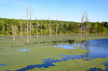 Oil Creek State Park