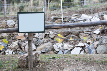 wooden sign for grapes crop, empty