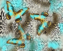 Blue Butterfly Leopard Background