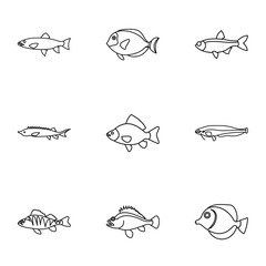 Wall Mural - River fish icons set. Outline illustration of 9 river fish vector icons for web