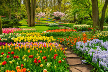 Colourful Tulips Flowerbeds And Stone Path In An Spring Formal Garden