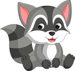 Poster - cute raccoon cartoon

