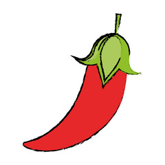 Sticker - drawing chili pepper culinary food vector illustration eps 10