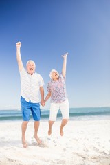 Poster - Smiling senior couple jumping