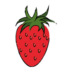 Poster - strawberry healthy fruit nature drawing vector illustration eps 10