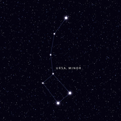 Wall Mural - sky map with the name of the stars and constellations. astronomical symbol constellation ursa minor