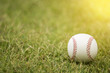 © tatomm - close-up baseball on the infield