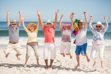 Wall Mural - Portrait of senior friends at the beach