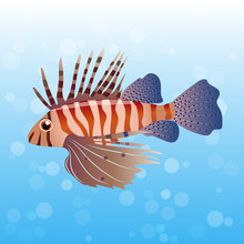 Illustration Of Volitan Lionfish
