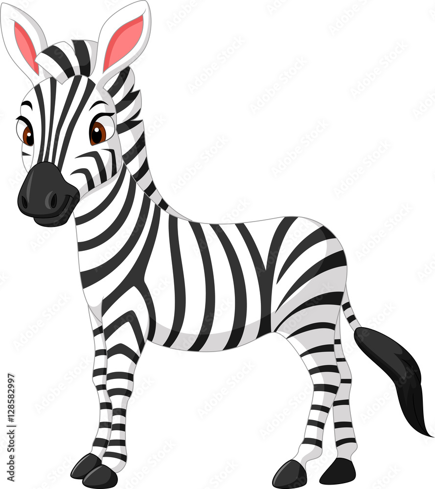 Cute zebra cartoon

 - obrazy, fototapety, plakaty 