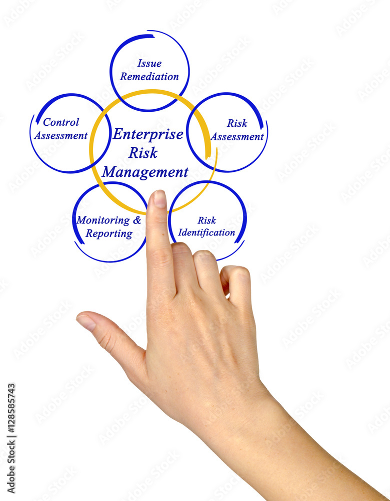 Enterprise Risk Management.