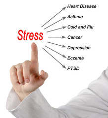 Poster - Stress consequences