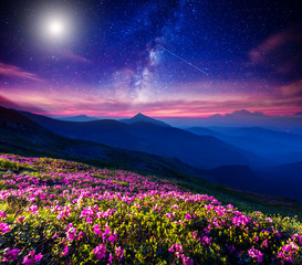Fotobehang - starry night in mountain