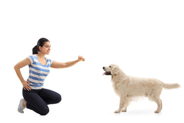 Wall Mural - Young woman giving a cookie to a dog