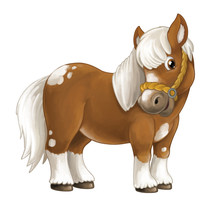 Cartoon Happy Horse Is Standing Smiling And Looking - Artistic Style - Isolated - Illustration For Children