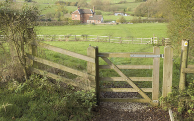 Wall Mural - views from the towpath worcester and birmingham canal worestersh